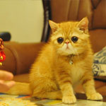 花蓮希望海民宿