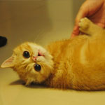 花蓮希望海民宿